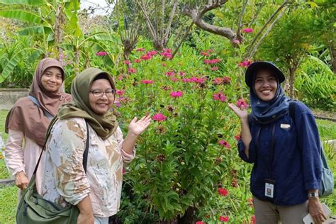 Pejabat Kementerian Pertanian Kunjungi Pak Oles Green School Antara