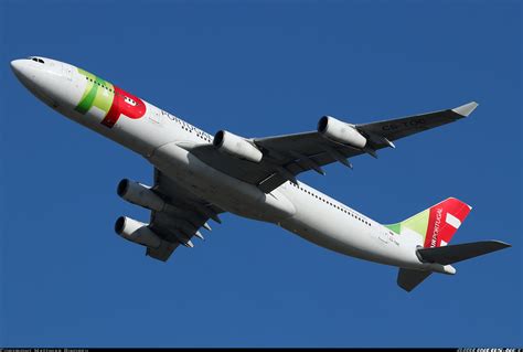 Airbus A340 312 Tap Air Portugal Aviation Photo 5746927