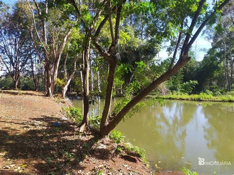 FAZENDA A VENDA EM VERA CRUZ DO OESTE VERA CRUZ DO OESTE PR I8