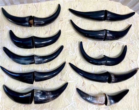 Paired Polished Water Buffalo Horns - Etsy