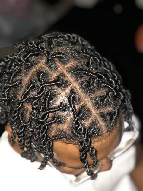 Starter Locs Two Strand Twists