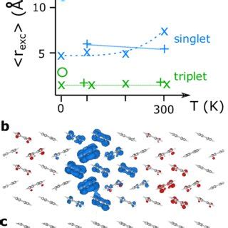 Singlet Blue And Triplet Green Exciton Radii Within The Different