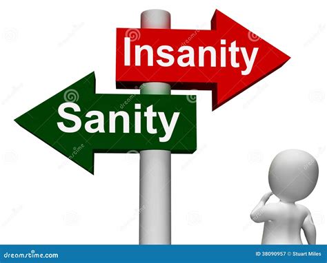 Insanity Sanity Signpost Shows Sane Or Insane Stock Illustration