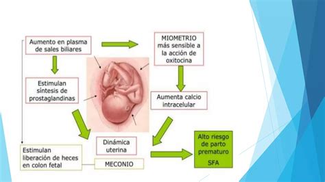 Colestasis Del Embarazo Ppt