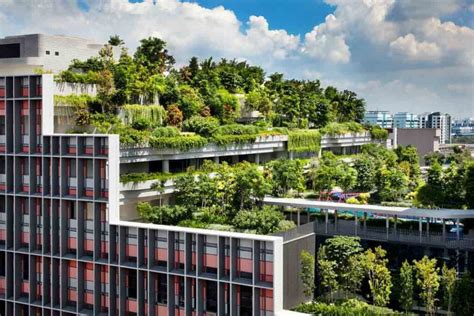 How Rooftop Gardens Became A Singaporean Icon Indesign Live Interior