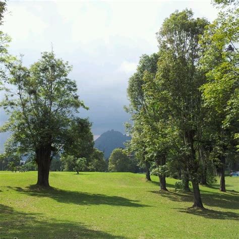 Bosque Popular El Prado Manizales Caldas