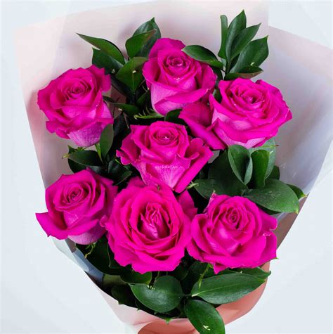 7 роз «Хот Эксплорер» - купить в интернет-магазине Орхидея