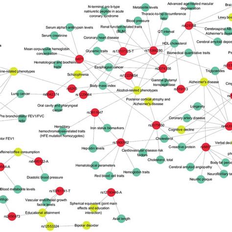 Snp Phenotype Network All The Snps In Red Showed A Significant