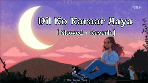 Dil Ko Karaar Aaya Slowed Reverb Lofi The Sarma Tune Youtube