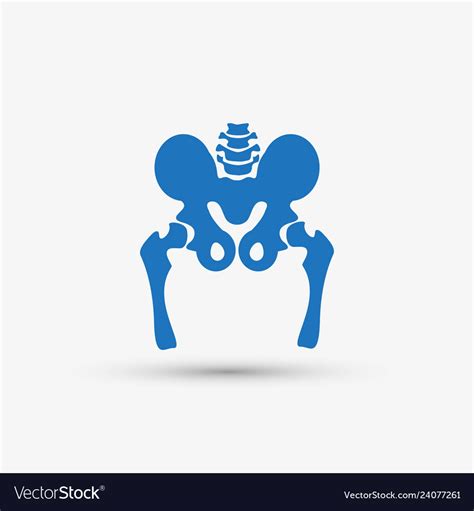 Hip Bone Icon Royalty Free Vector Image Vectorstock