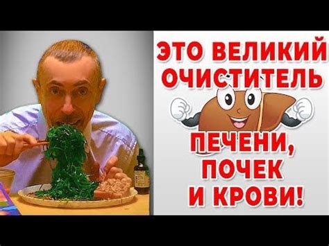 ЭТО ВЕЛИКИЙ ОЧИСТИТЕЛЬ ПЕЧЕНИ, ПОЧЕК И КРОВИ! Щитовидная, йод, простата ...