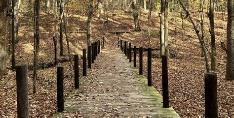 Best Hiking Trails in Huntsville – Scenic Views including Waterfalls ...