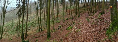 Johanniskreuz Nach Eschkopf Km