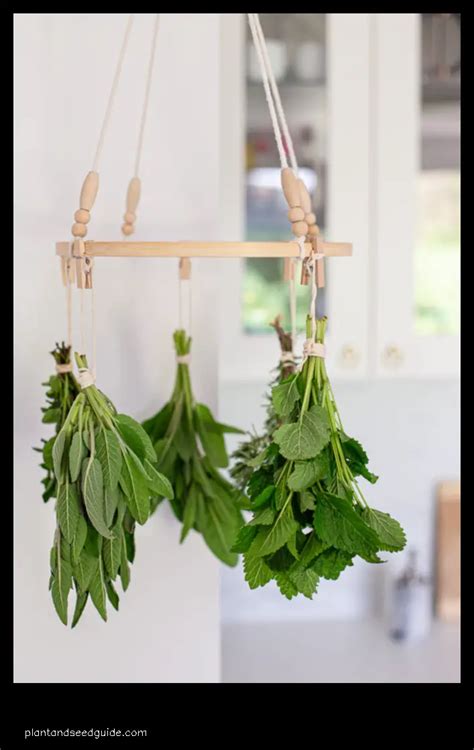 Air Dry Your Herbs With This Diy Herb Drying Rack Plant And Seed Guide