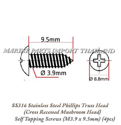 Ss Stainless Steel Phillips Truss Head Cross Recessed Mushroom Head