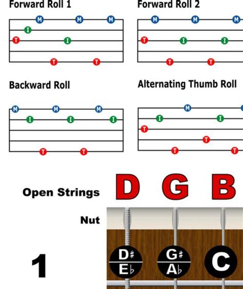 Banjo Chord Chart Poster Fretboard Rolls String Chords Beginner Notes