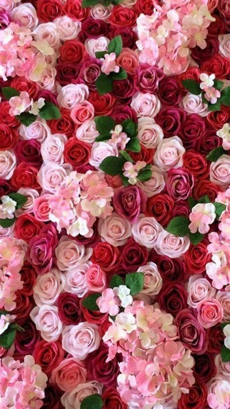 Many Pink And Red Flowers Are Arranged In The Shape Of A Flower