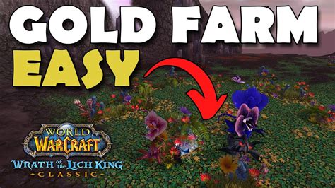 Easy Wotlk Classic Gold Farming Spot To Try Youtube