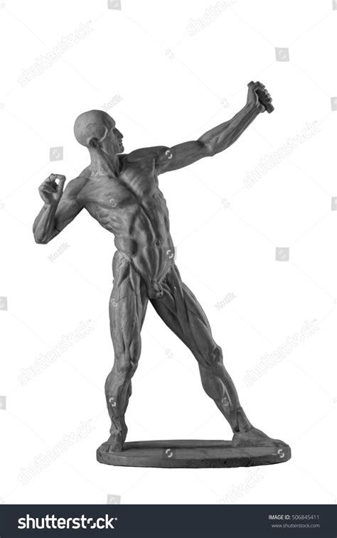 Plaster Statue Naked Anatomical Human Figure Stock Photo 506845411 Shutterstock