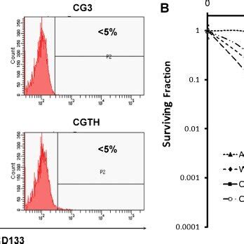 CD133 Population And Radiosensitivity In Thyroid Cancer Cell Lines A