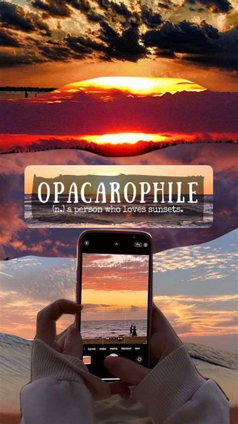 Lover Of Sunsets Opacarophile Sunsetaesthetic Aestheticwallpaper