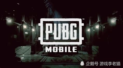 蓝洞终于忍不住了，绝地求生手游《pubg New State》即将开测，看到游戏画面之后，《和平精英》玩家表示酸了