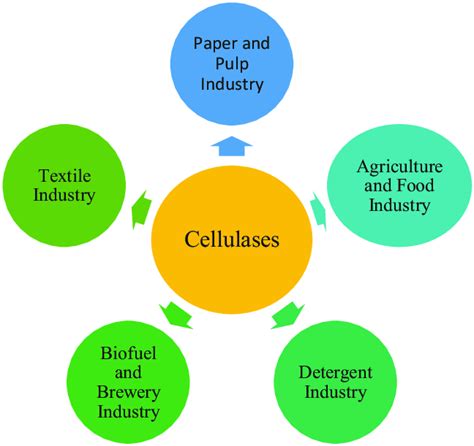 2 Schematic Representation Of Application Of Cellulases Download