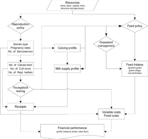 Bioeconomics Of Sexed Semen Utilization In A High Producing Holstein