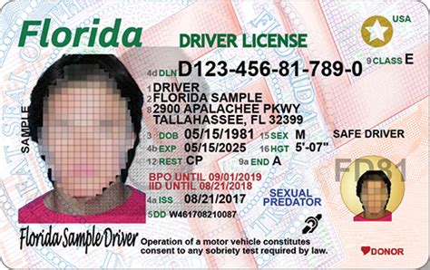 Florida Dmv Military Motorcycle License Reviewmotors Co