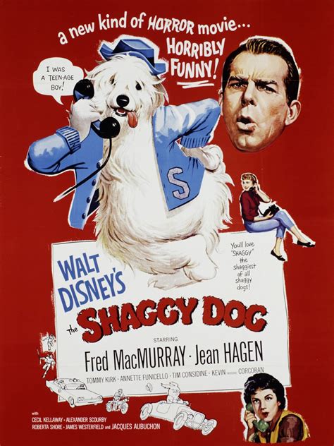 The Shaggy Dog - Movie Reviews