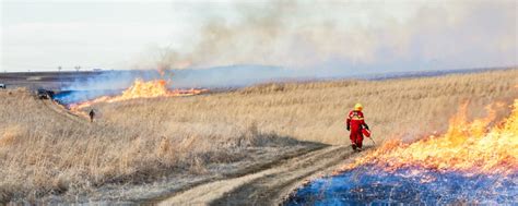 Mapping 35 Years Of Prescribed Fire History The Applied Ecologist