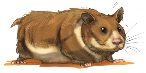 Dnd 5e Spelljammers Giant Space Hamsters Explained