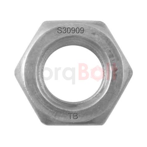 309 Stainless Steel Hex Nuts ASTM F2281 UNS 30909 Specifications