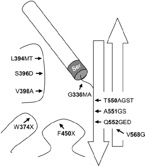 Relative Minimal Inhibitory Concentration Mic For Clones Resistant To