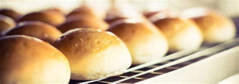 How To Test Dough Extensibility And Why You Need To Blog Bakerpedia