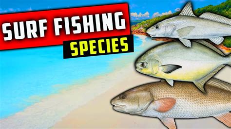 What Type Of Fish Can You Catch While Surf Fishing In Florida Youtube