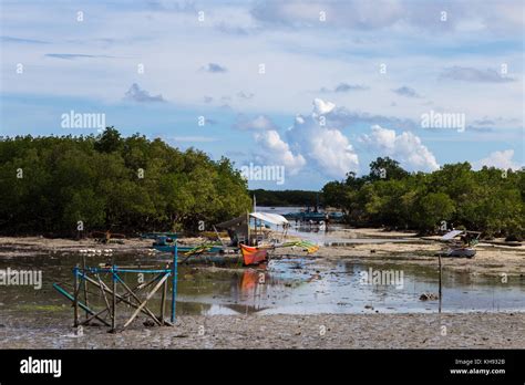 Asia, Philippines, Cebu, Mactan, Mactan Shrine, Banca or pump boats in the mangroves at low tode ...