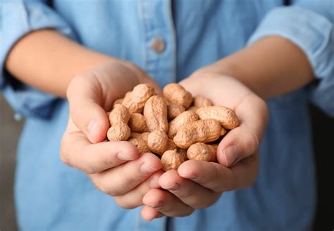 Can Eating Peanuts Cure A Peanut Allergy Au