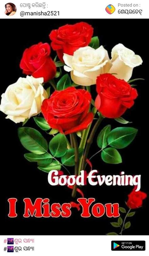 Pin By Abhinash Sahoo On Babu Good Evening Love Good Evening