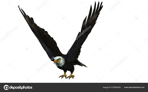 Black Eagle Flying Isolated White — Stock Photo © BoVibol #672844534