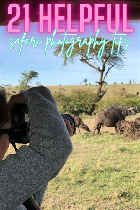 21 Safari Photography Tips For An Unforgettable Adventure