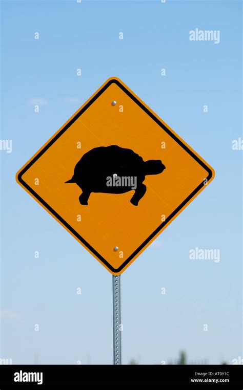 Turtle Crossing Road Sign California Usa Stock Photo Alamy