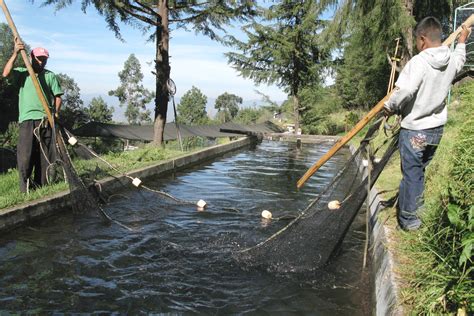 Pesca y acuacultura un sector productivo y sustentable Comisión