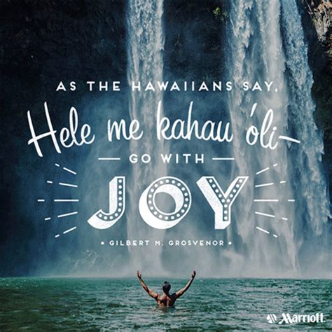 Hawaii Illustrated Quotes | Lemonly Infographics