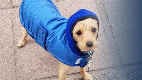 Vuelven Las Lluvias As Estar El Tiempo Este Domingo En Tucum N