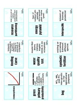 Biominoes Apes Unit By Curriculum By Corlin Tpt