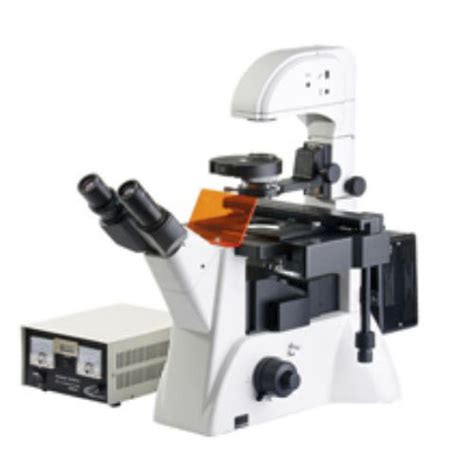 Microscopio invertido Versus Medline Scientific óptico para