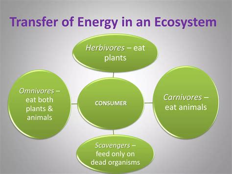 Ecology and Ecosystem | PPT