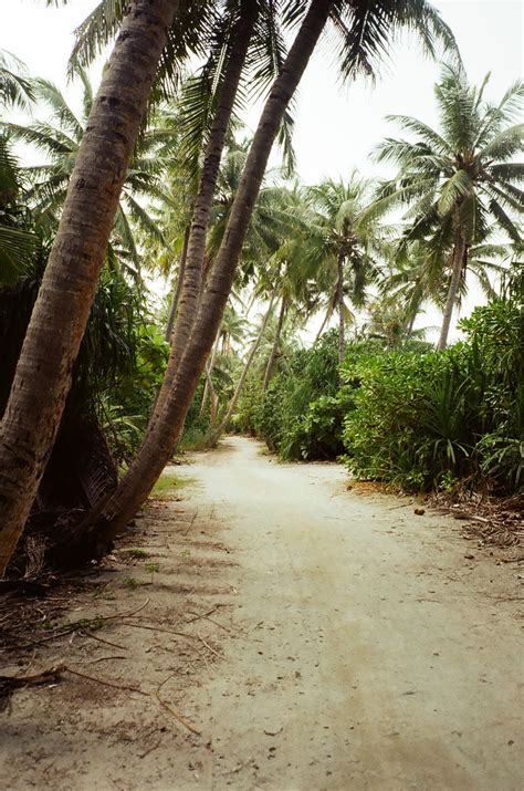 10 Most Beautiful Beaches In The Maldives You Need To See To Believe