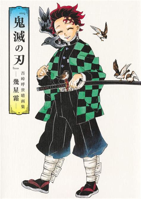 Demon Slayer Illustration Art Book Koyoharu Gotouge Kimetsu No Yaiba